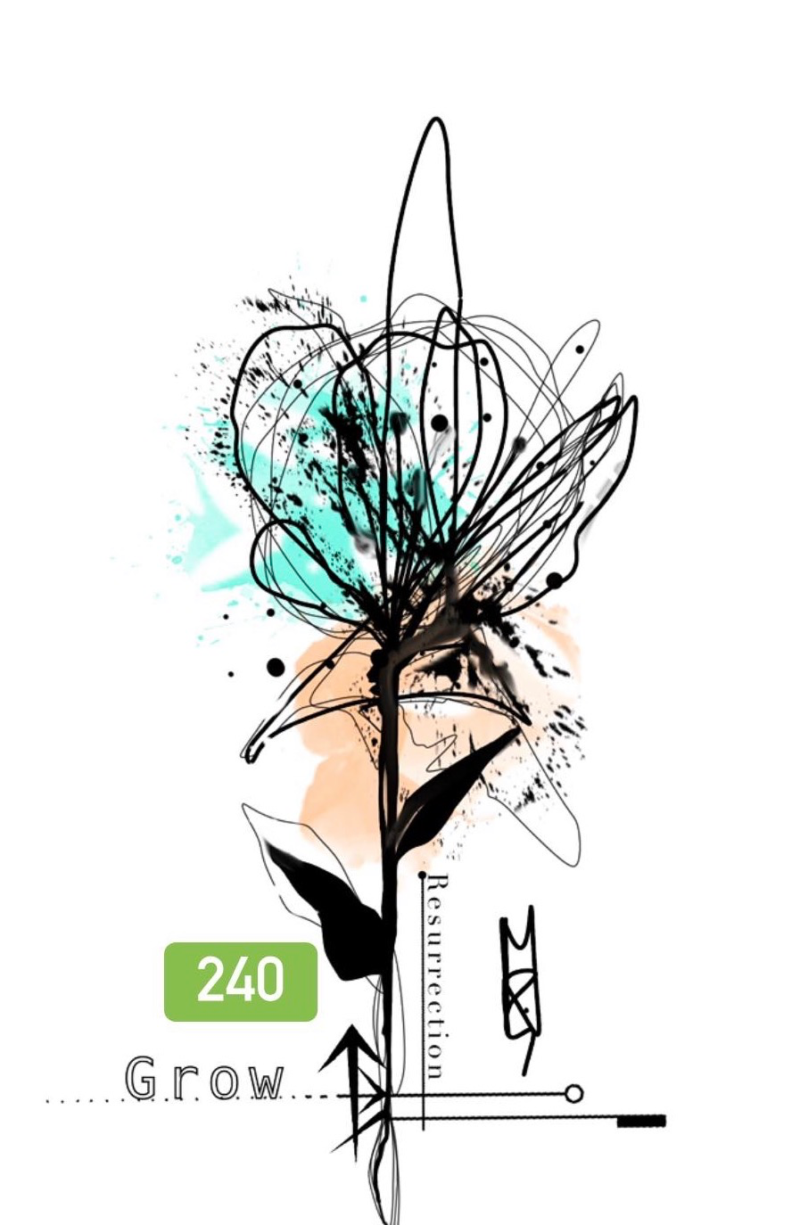 Flash de MPi à 240 $, dessin 6