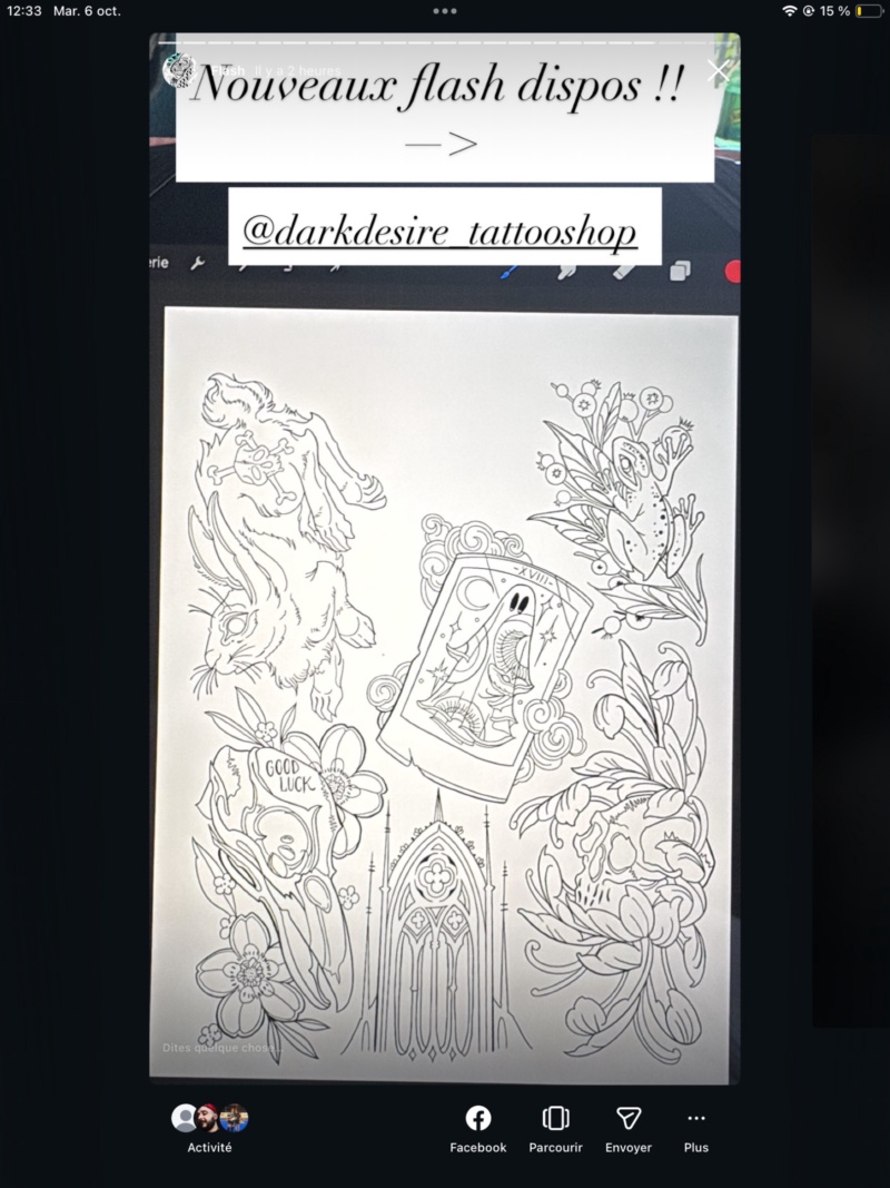 Flash de Melanie turcotte-gasse à 250 $, dessin 4