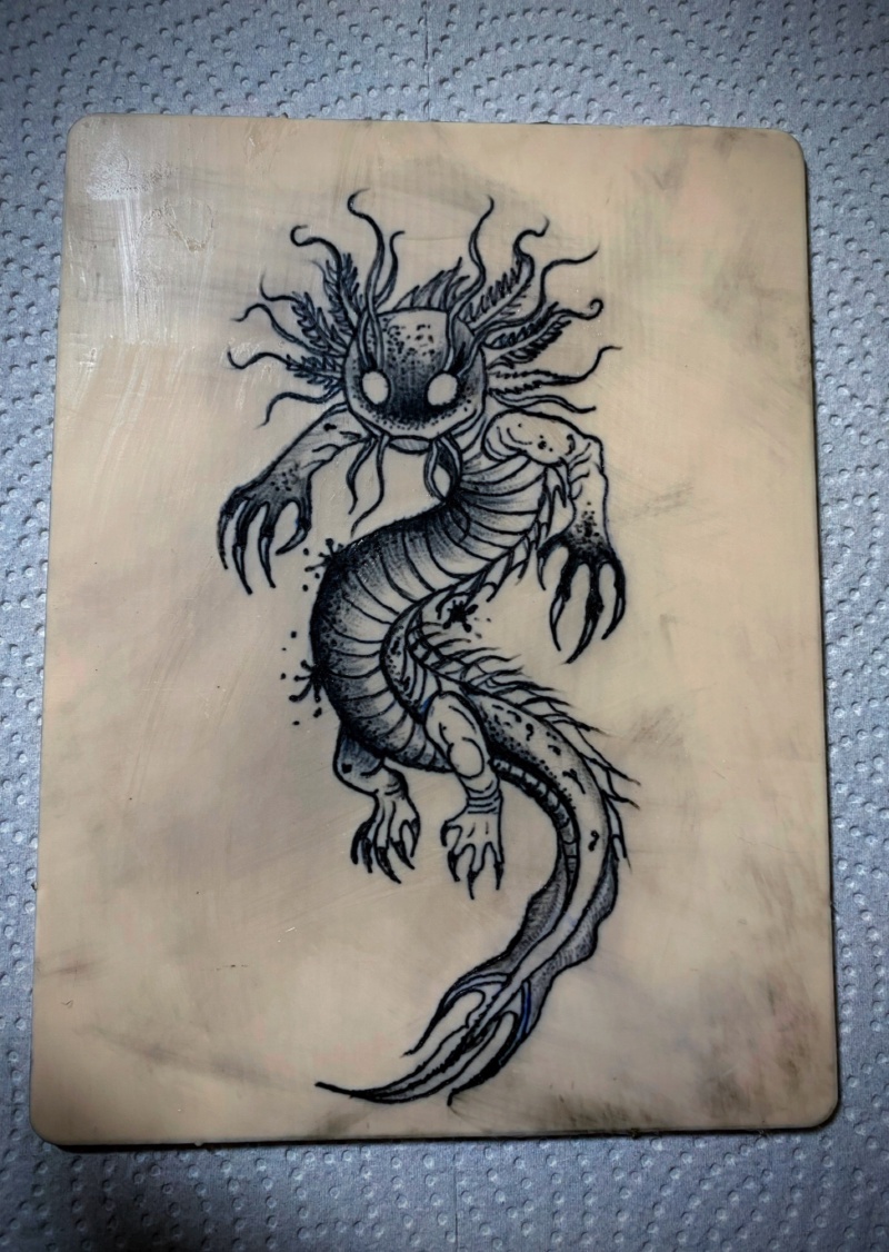 Flash de Lou à 135 $, dessin 1